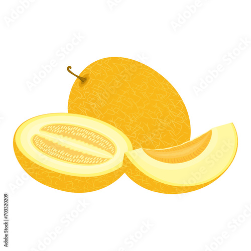 Melon isolated on a white background. Delicious ripe melon whole and pieces, slices. Flat style, cartoon design