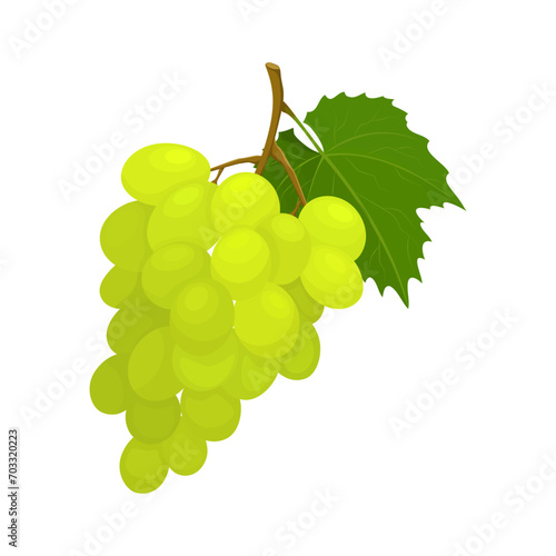 Bunch of grapes isolated on white background. Delicious ripe grapes, flat style, fruits and berries cartoon design