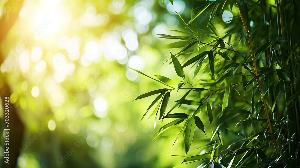 Frame of fresh green bamboo leaves isolated on blurred sunny background. Copy space. Frame of fresh green bamboo leaves isolated on blurred sunny background. Copy space.