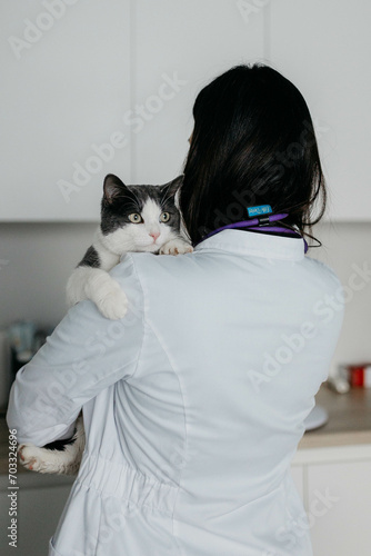 A cat at a vet's appointment