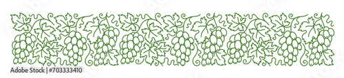 Grape vine pattern. Grape branches and leaves. Editable outline stroke. Vector line.