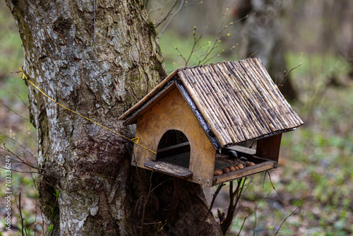 Wooden brown birdhouse on a trunk of a tree in the park. A house for the birds. Bird feeder. Copy space © Irina Mikhailichenko