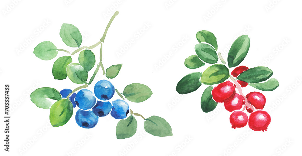Obraz premium Blueberries and lingonberries , red berry, blue berries. huckleberry , cowberry, cranberries, watercolor illustration 
