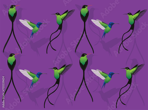 Bird Hummingbird Streamertail Cute Seamless Wallpaper Background