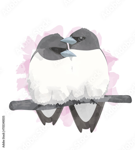 Valentine Bird Lover Woodswallow Watercolor Vector