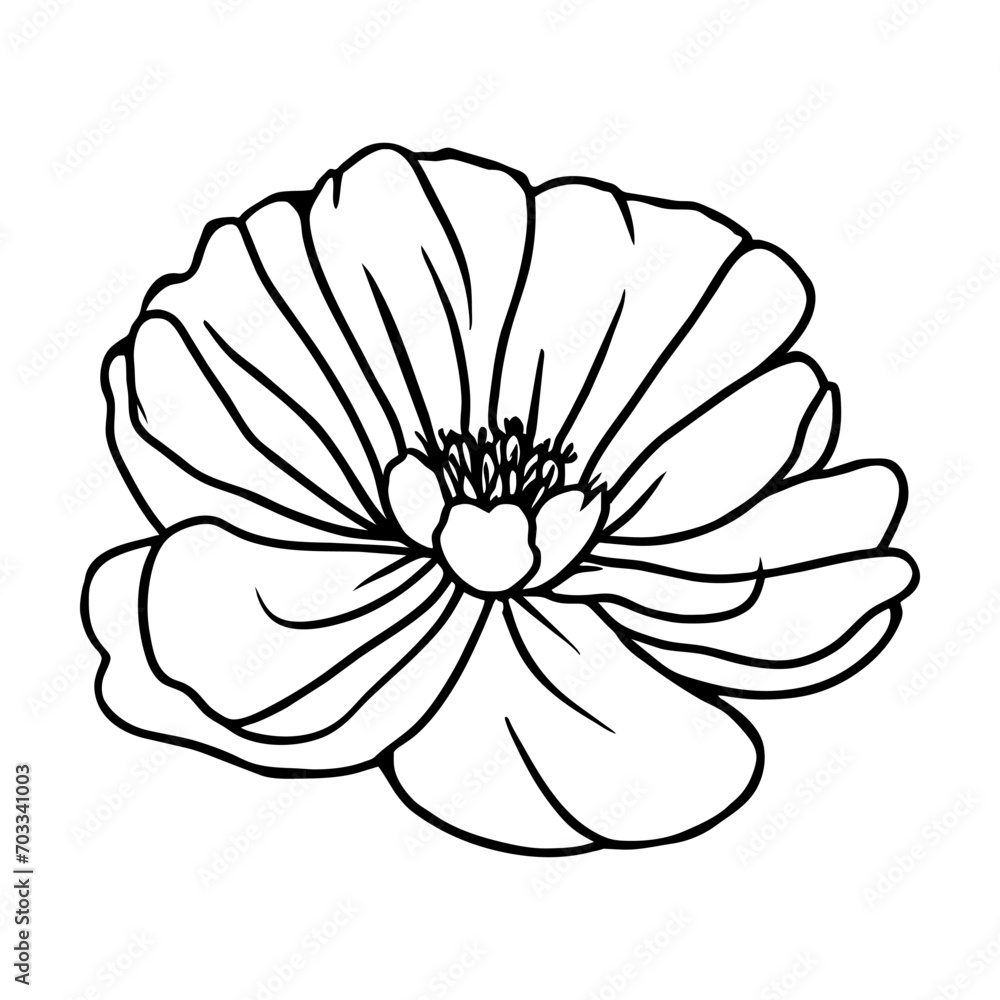 Hand drawn simple flower illustration Hand drawn simple flower illustration