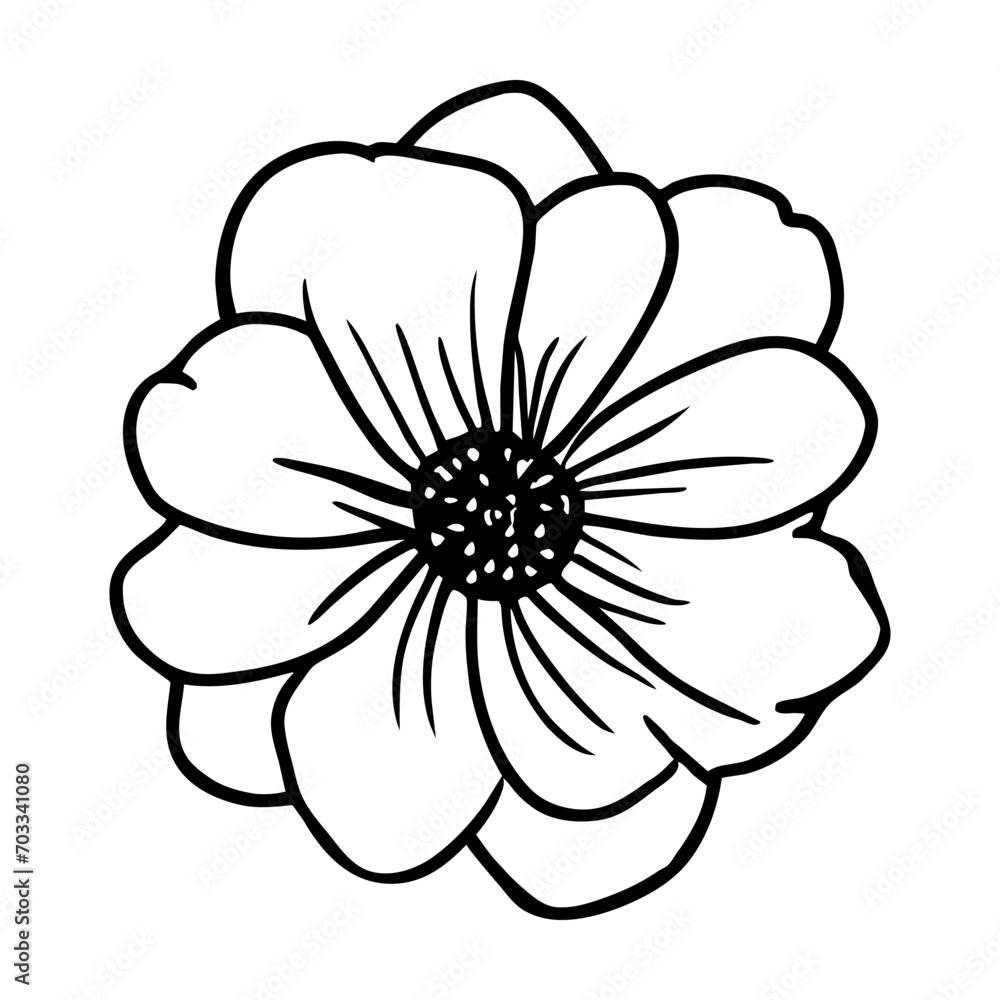 Hand drawn simple flower illustration Hand drawn simple flower illustration