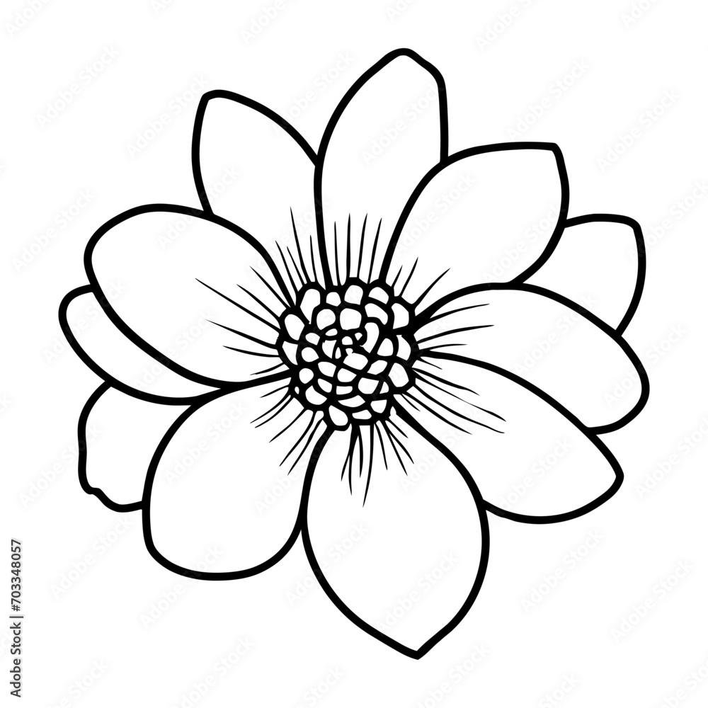 Hand drawn simple flower illustration Hand drawn simple flower illustration