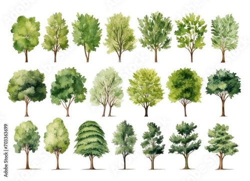 Tree images, two-dimensional png files, decorate garden plans.