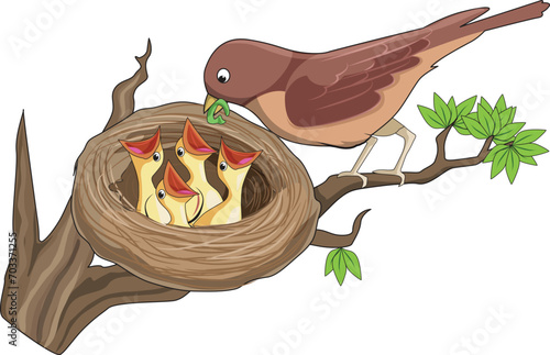 Cute bird with its chicks sitting in the nest