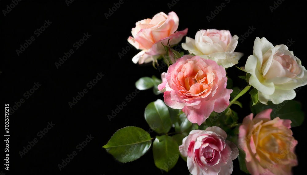 roses on a black background abstract floral design for prints postcards or wallpaper ai roses on a black background abstract floral design for prints postcards or wallpaper ai