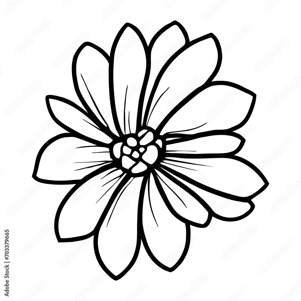 Hand drawn simple flower illustration Hand drawn simple flower illustration