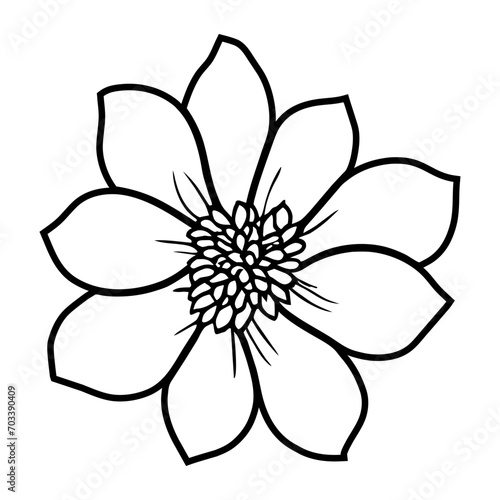 Hand drawn simple flower illustration