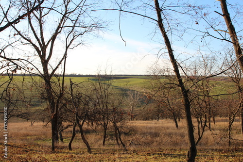 A field with trees and hills in the background