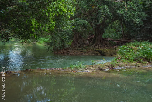 Fototapeta Naklejka Na Ścianę i Meble -  Tranquil tropical landscape in evening. Muak Lek River and banyan trees with bizarre roots in Chet Sao Noi National Park, Thailand.