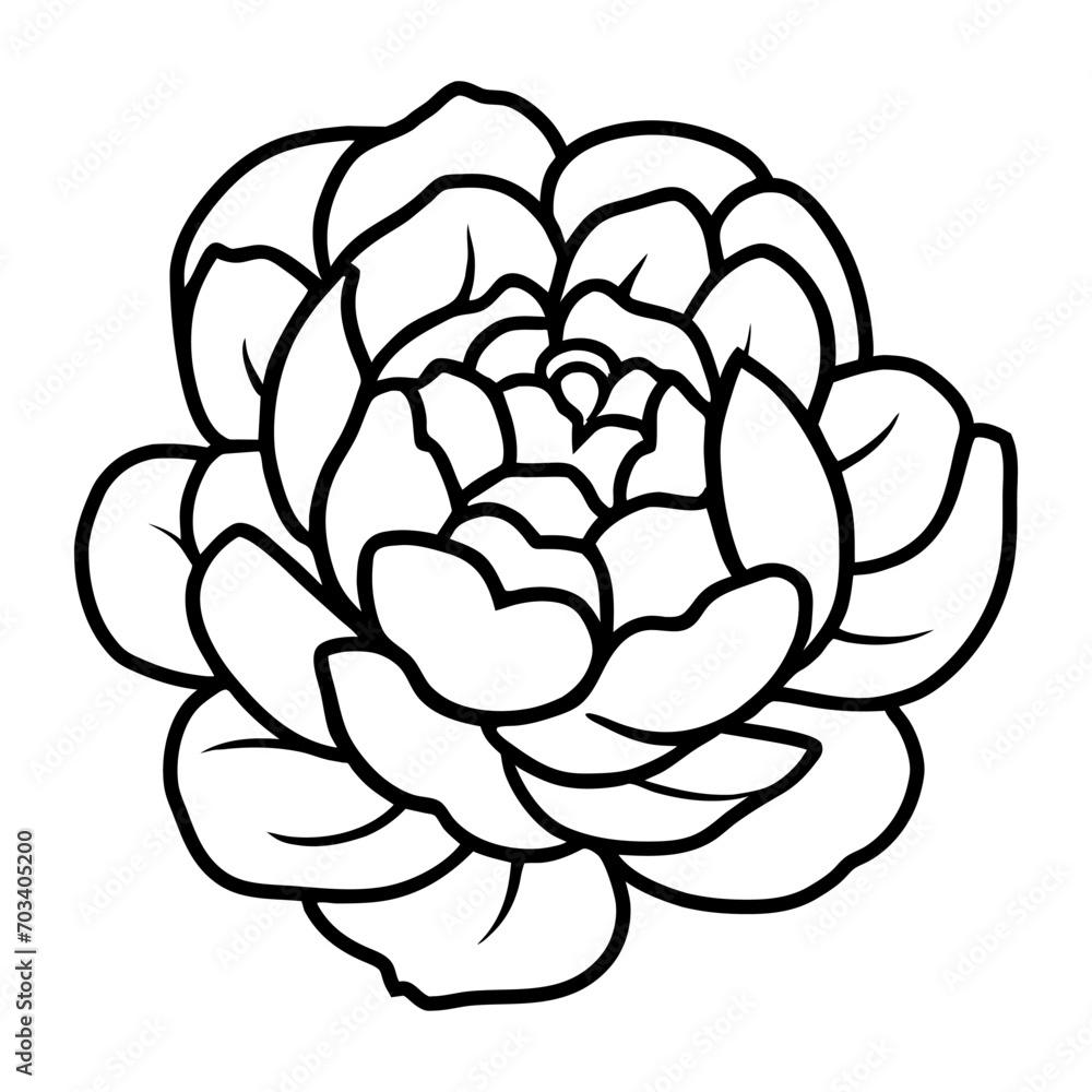 Hand drawn simple flower illustration Hand drawn simple flower illustration