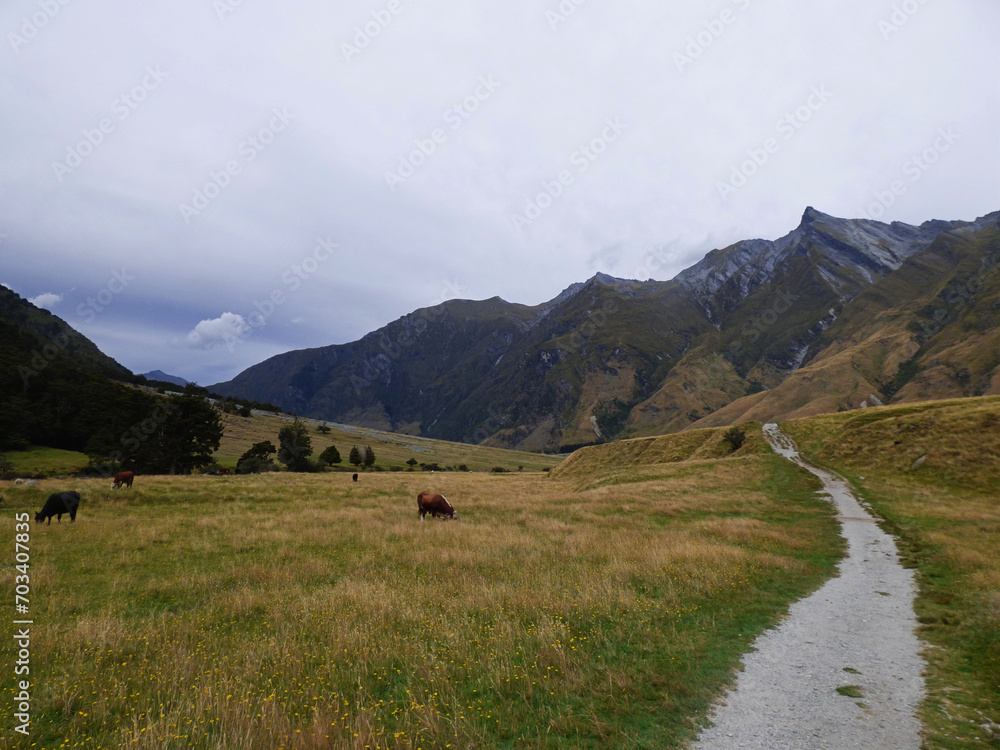 Rob Roy track, Wanaka, Mt, Aspiring national park in South Island of New Zealand