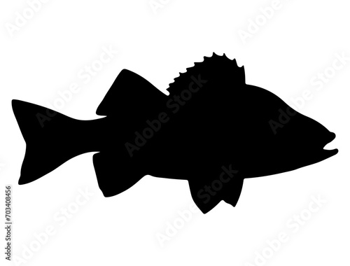 Perch fish silhouette vector art white background