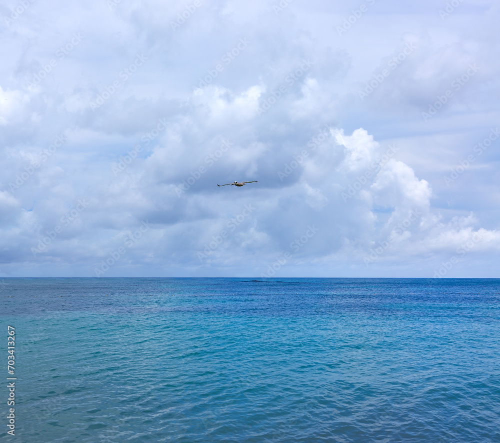 Travel background with Caribbean sea and pelican in the sky.