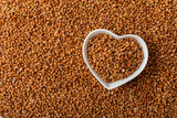 Buckwheat. Buckwheat grain isolated on white background. Healthy food. Porridge. Diet. Organic cereal.
 Cereals background. Banner.