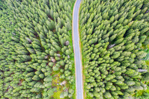 Forest road viewed from above