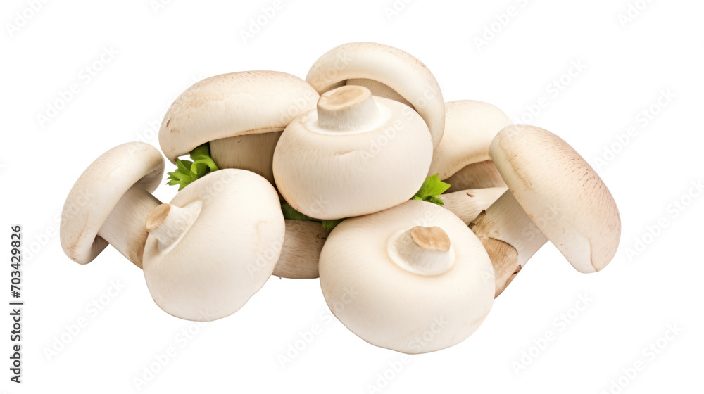 Fresh champignon mushrooms isolated on white background. Fresh champignon mushrooms isolated on white background.