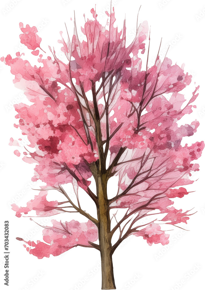 Fototapeta premium Cherry blossom tree watercolor painting isolated on transparent background.