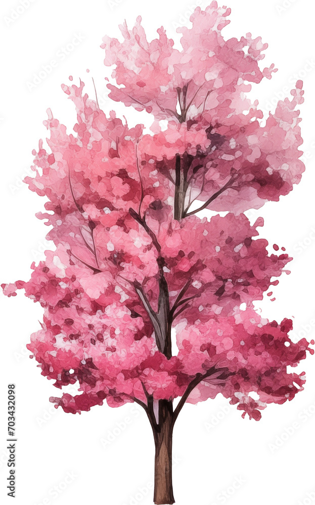 Fototapeta premium Cherry blossom tree watercolor painting isolated on transparent background.