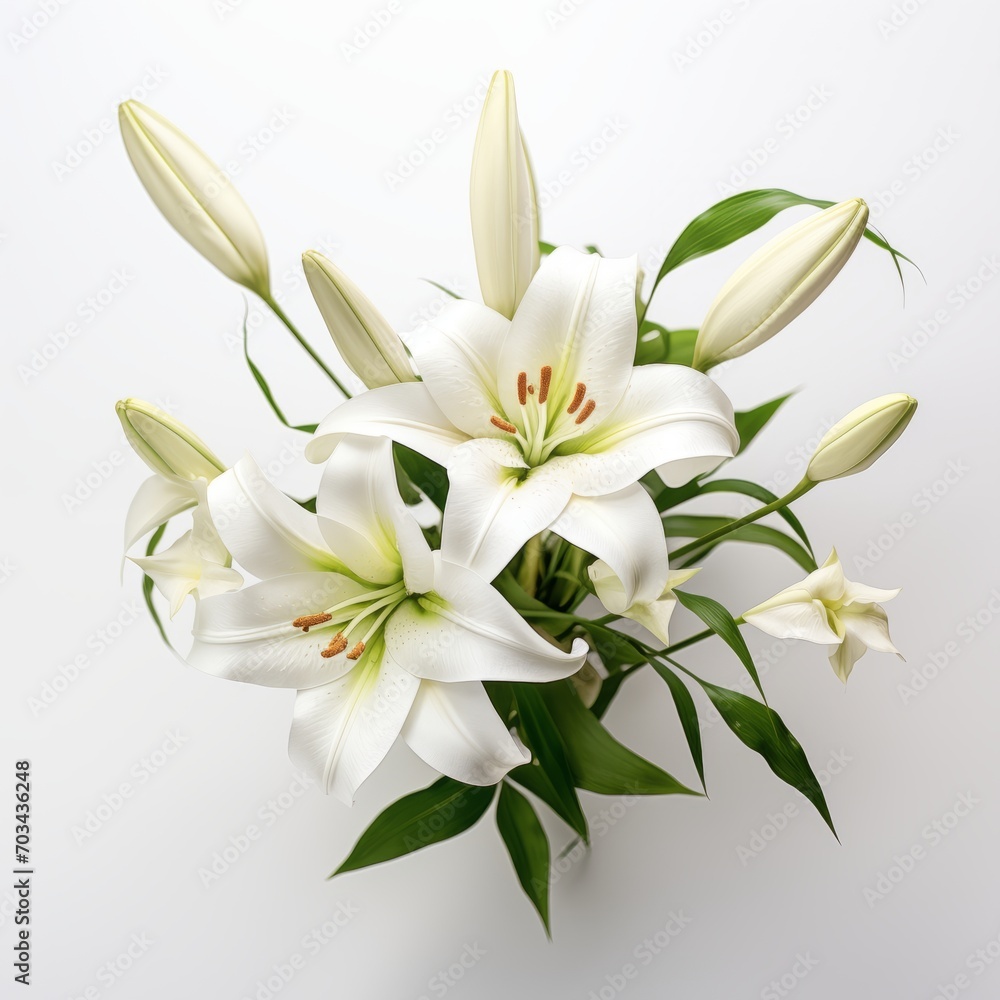 Fresh lilies on a white background