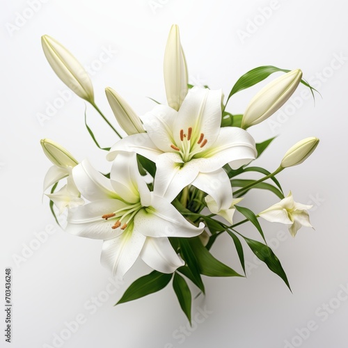 Fresh lilies on a white background
