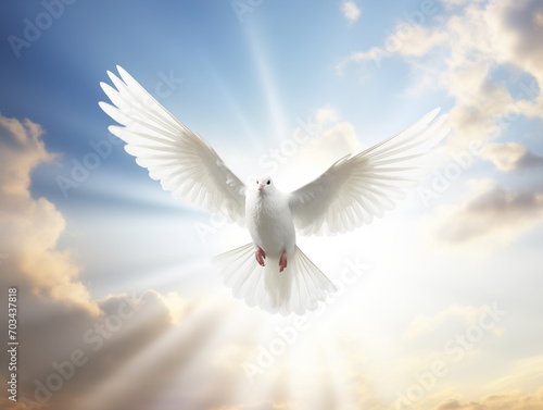 A white dove flying in a sky with beautiful sun