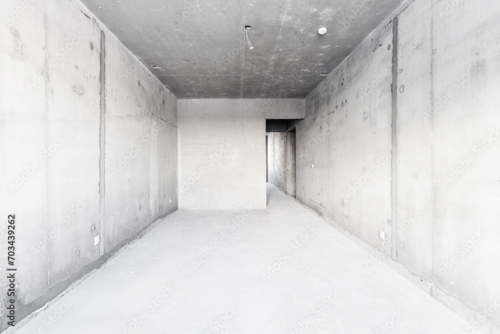interior of the apartment without decoration in gray colors. rough finish interior of the apartment without decoration in gray colors. rough finish