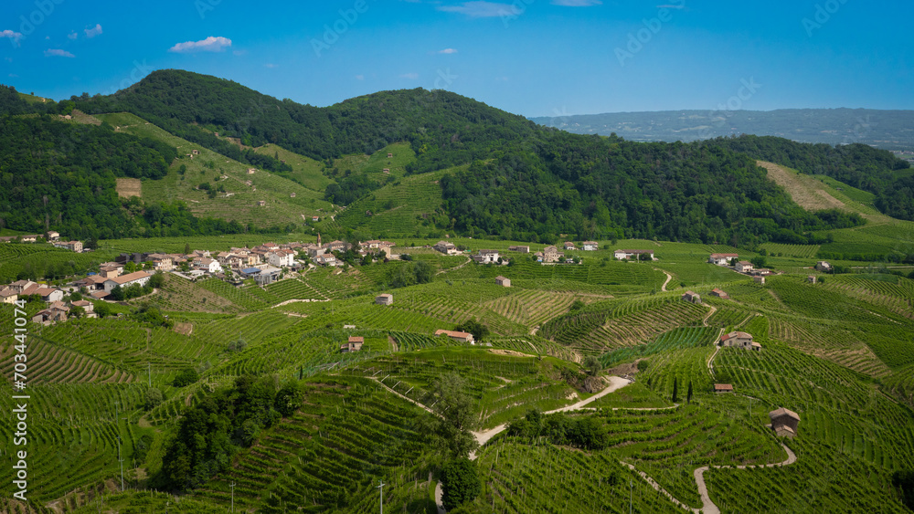 panorama of Italian vineyards