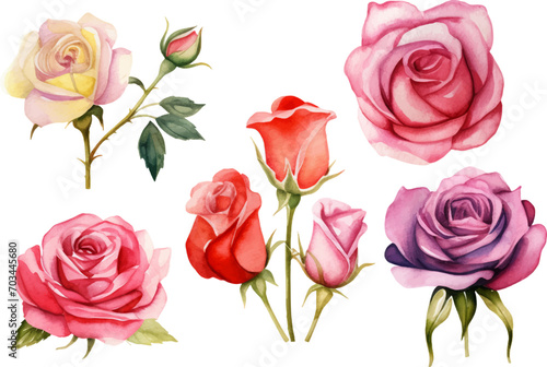 watercolor rose flower set © Abu