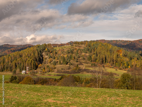 view of mountains with forest in autumn