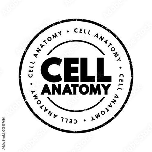 Cell anatomy - consists of three parts: the cell membrane, the nucleus, and, between the two, the cytoplasm, text concept stamp