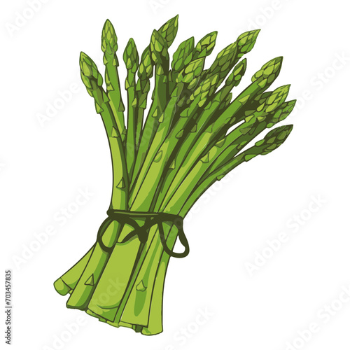 Effective Boiled asparagus on white background
