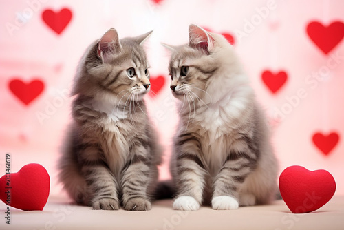 two funny kittens with red hearts for Valentine's Day