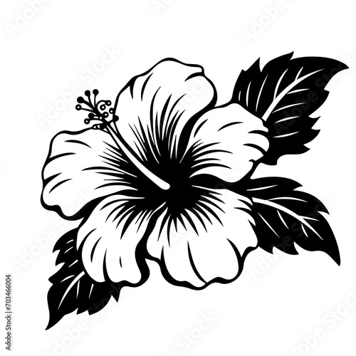 Vibrant Hibiscus Flower Vector Illustration