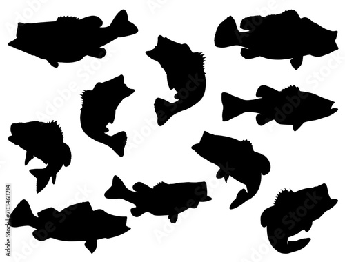 Bass fish silhouette vector art white background