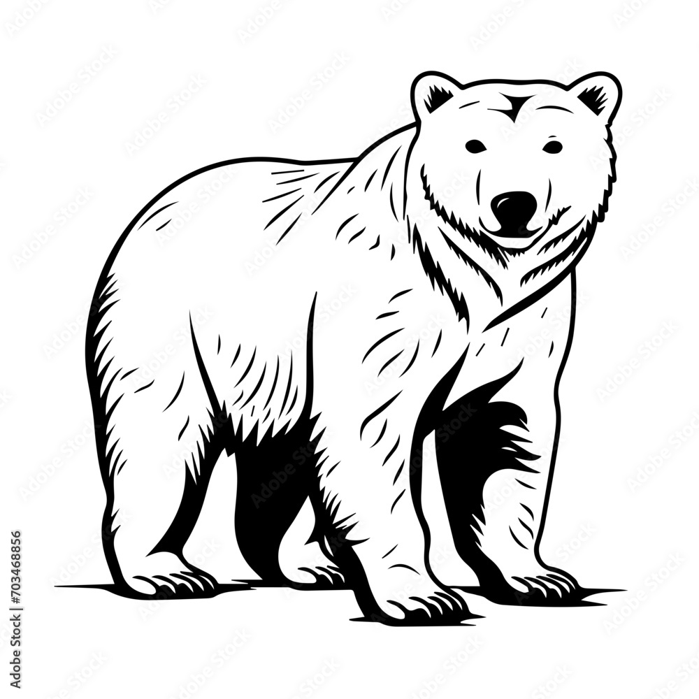Majestic Polar Bear Vector Illustration Majestic Polar Bear Vector Illustration
