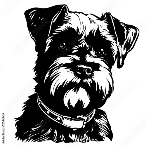 Loyal Schnauzer Dog Breed Vector Art