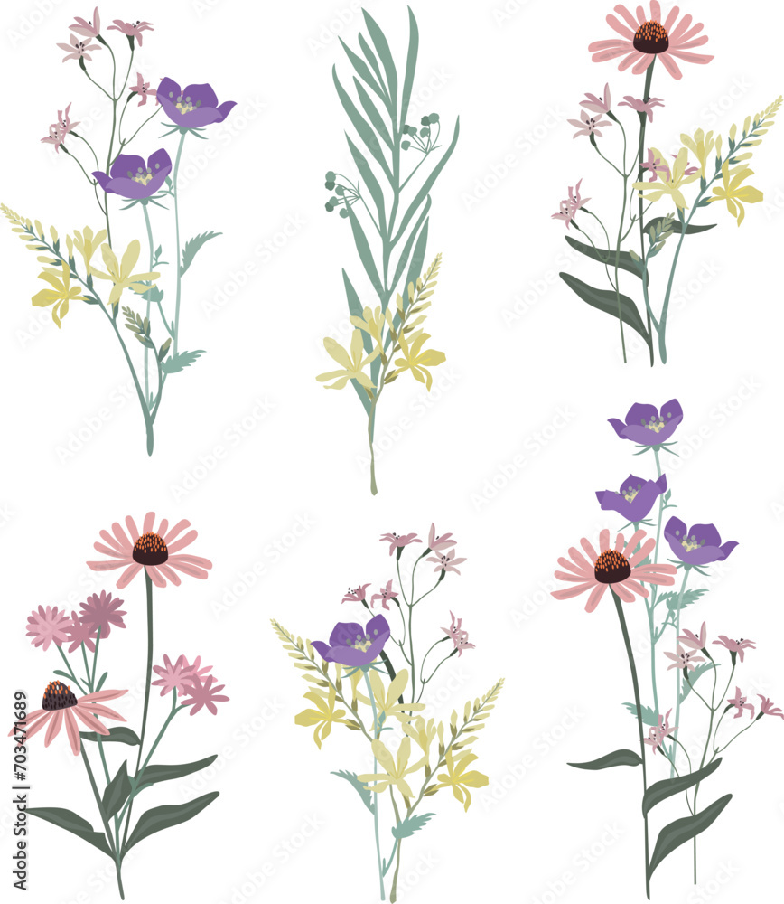 Botanical set of sketch flowers and branches	
