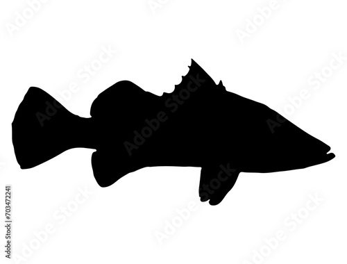 Barramundi fish silhouette vector art white background