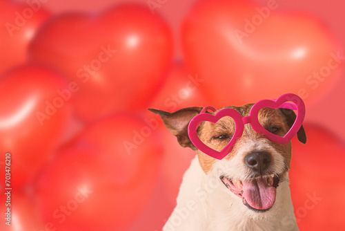 Happy dog with a lot of heart balloons in background