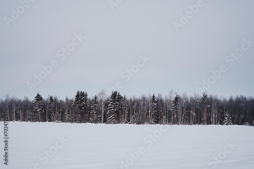 Morning by a field of rural Toten, Norway, in winter. © Øyvind
