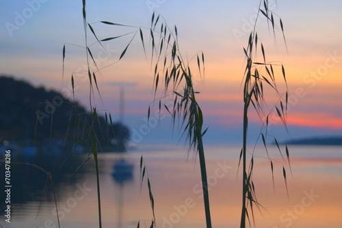 sailboat in the sunset