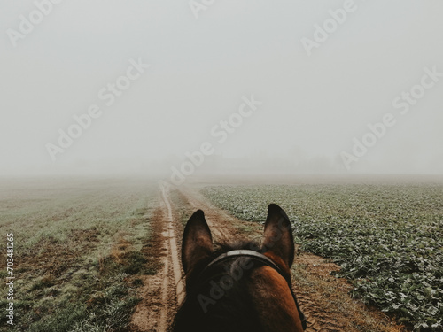 Koń w mgle