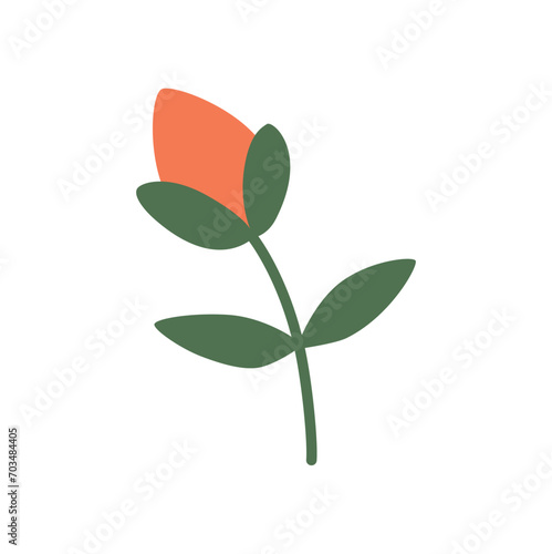 Summer and spring flora, plant and herb with petal, leaf. Cute modern flower. Blossomed flower element on white background. 