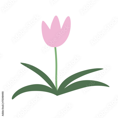 Summer and spring flora, plant and herb with petal, leaf. Cute modern flower. Blossomed flower element on white background. 